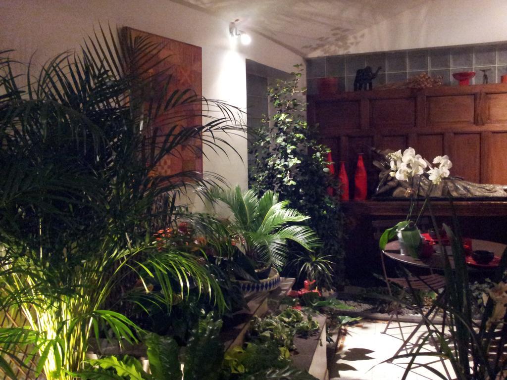 Chambres D'Hotes Le Petit Siam : Le Calme En Centre Ville Клермон-Феран Екстериор снимка